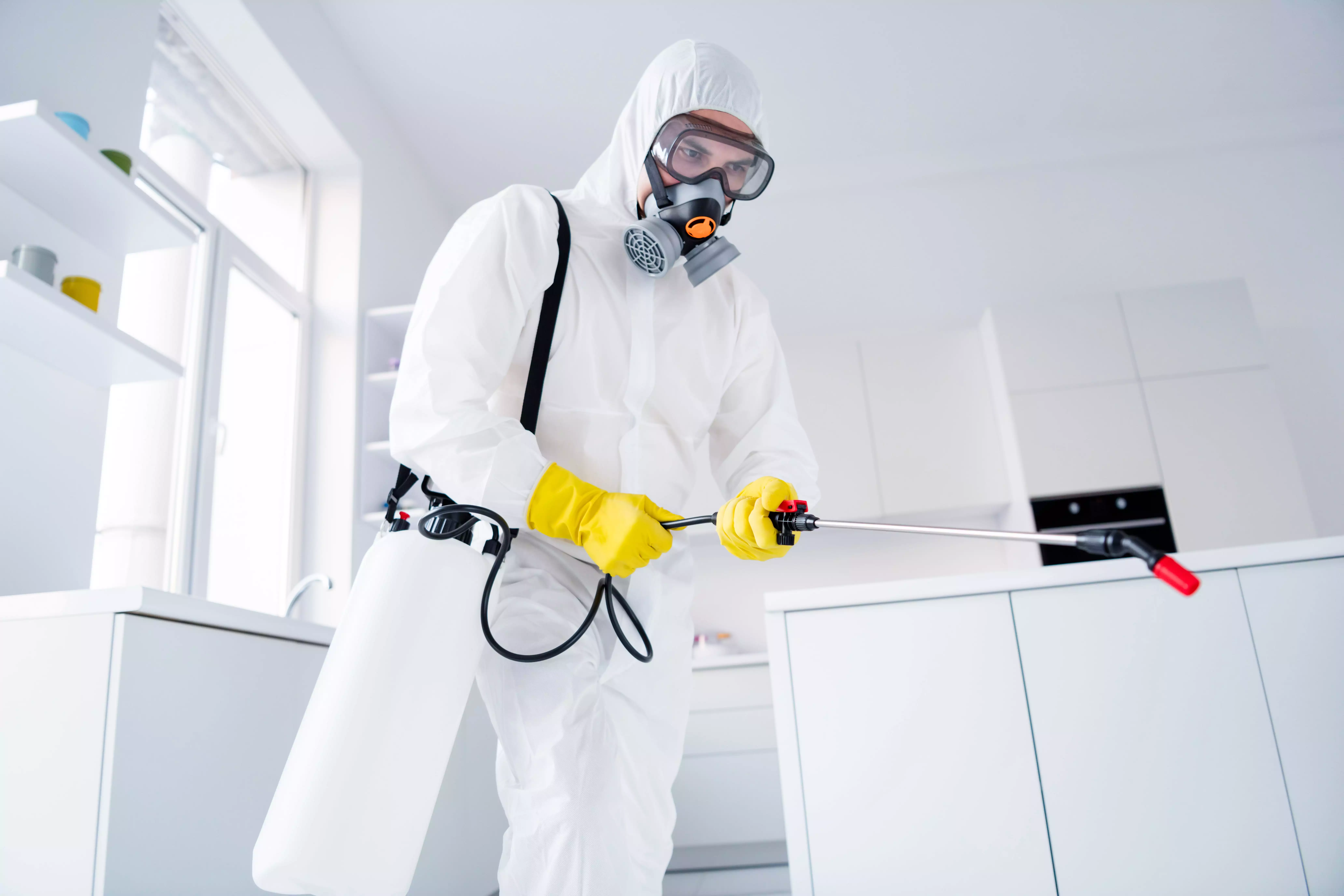 professional crime scene cleaning cleaning a homicide scene